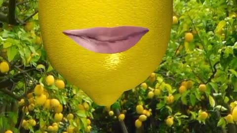 Singing lemon