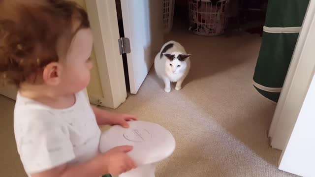 My cat hates children !