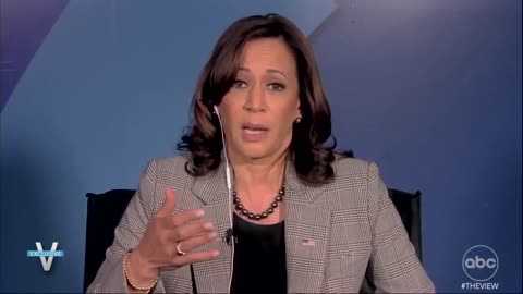 Border Czar Kamala Compares Treatment Of Haitians To Slavery