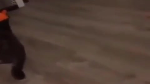 видео бомба