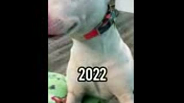 September 23, 2022
