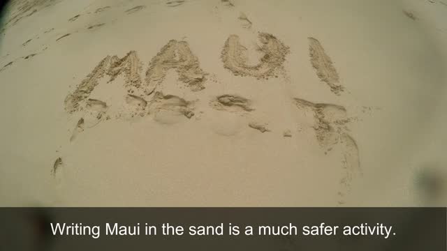 Big Beach Maui July 2016