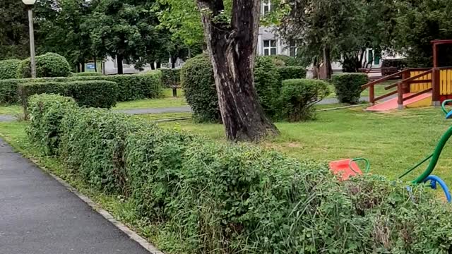 Parcul Reconstructiei, radiatie radiofrecventa