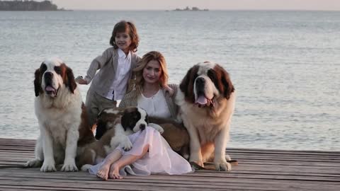 Little boy with mother near the sea playing with their dogs