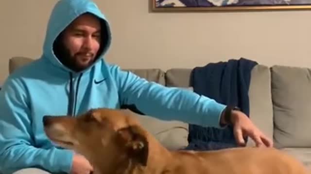 Dog Uses Human For Massage... And He Gets What He Wants!