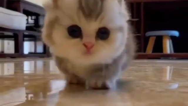 The Crawling ♥️😂