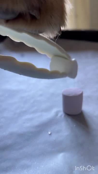 8.Wonders of Marshmallow #shorts