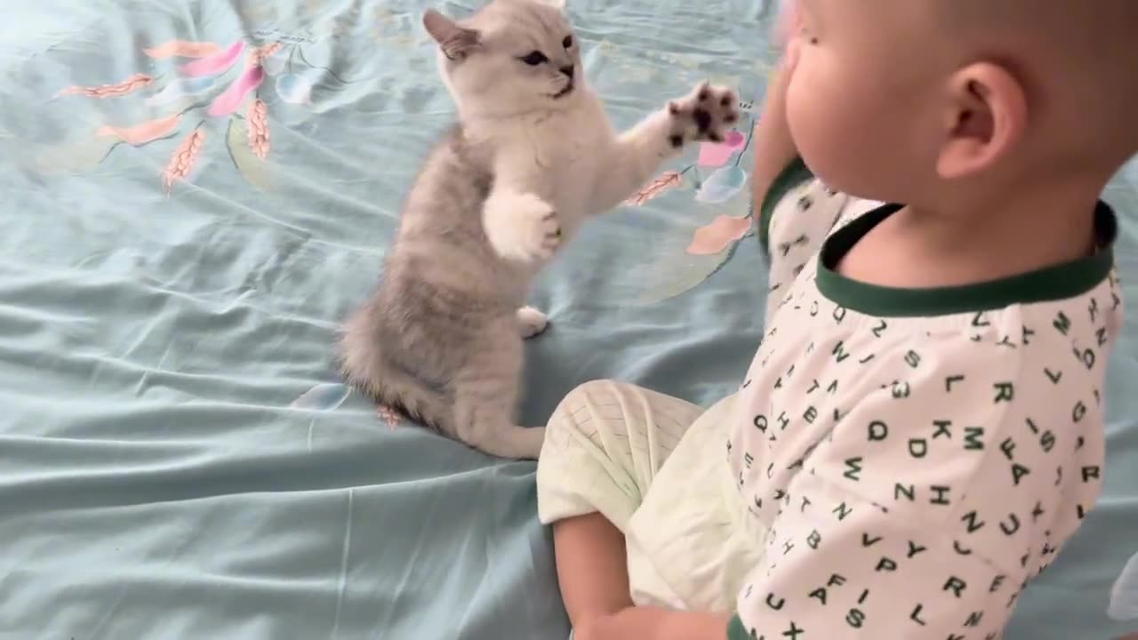 Kitten Having Lots of Fun With Baby . Both are Happy