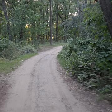 Yogi Bear Campground