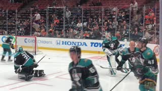 Stacey at the Anaheim Duck's Game