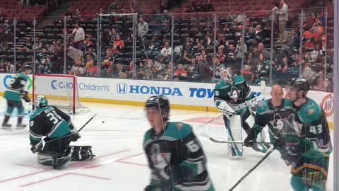 Stacey at the Anaheim Duck's Game