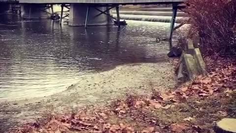 Harpersfield Covered Bridge