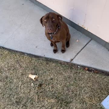 The Klause man is in trouble