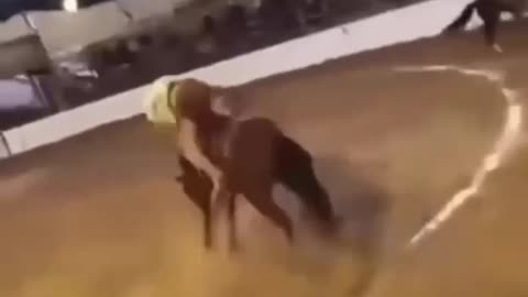 Pair flip 🙃😄