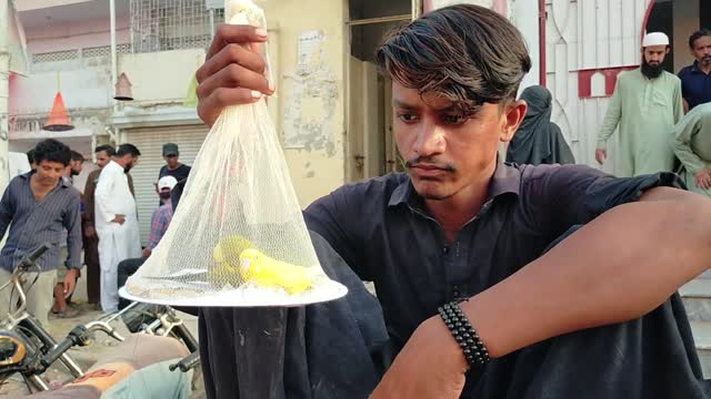 Selling a bird of prostitution in the Pakistani market