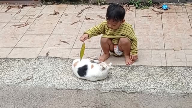 A funny kid enjoy playing with a cute Kitty