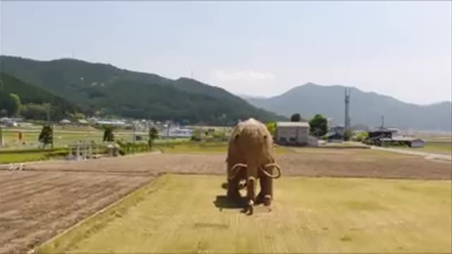 Drone Escape ドローン脱出米の彫刻