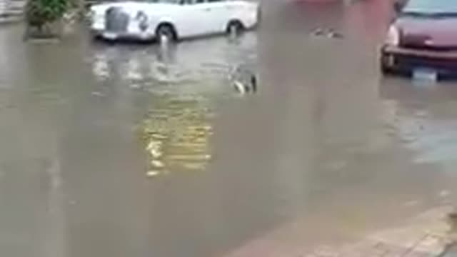 Comedy action in the flood