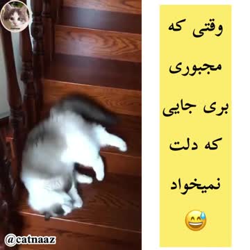 When you have to go where you do not want to go