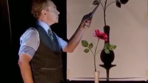 Teller's Shadow Magic