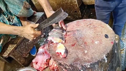 Amazing Monster Ayer Fish Cutting Skills In Bangladesh Fish Market By Expert Fish Cutter