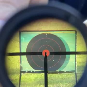 Mosin-Nagant 91⧸30 PU Sniper