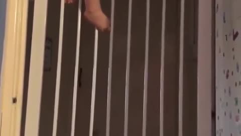 Shorts - Escape