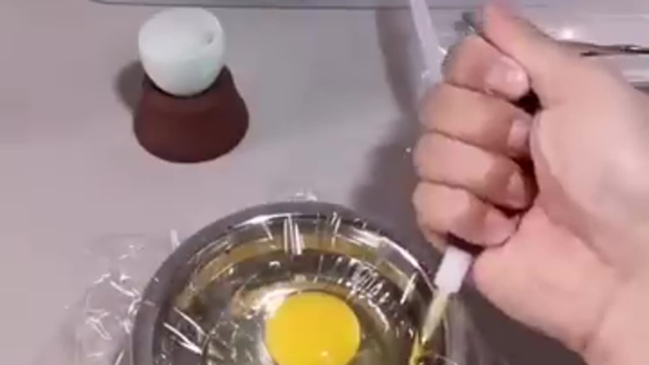 Fascinating Journey: Witness How a Chick Hatches from an Egg! 🐣 - Mind-Blowing Video - 😱