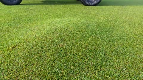 air bubble on gulf turf