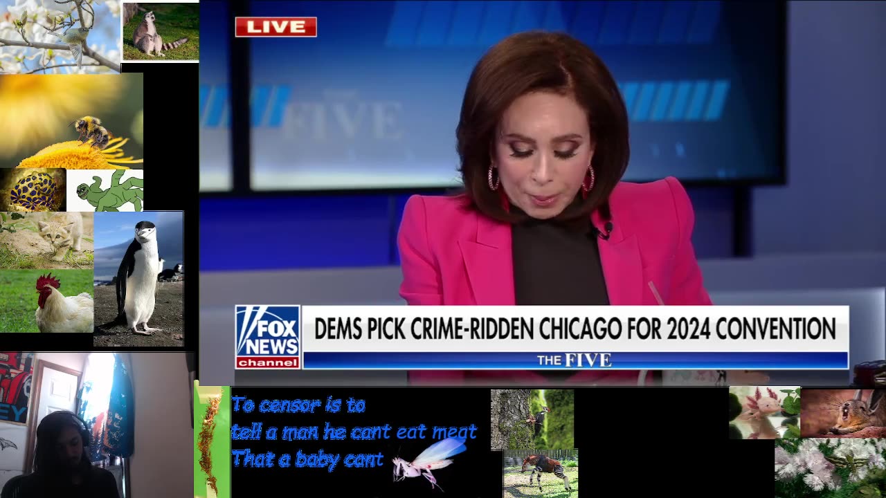 The Five 4/12/2023 Watchalong