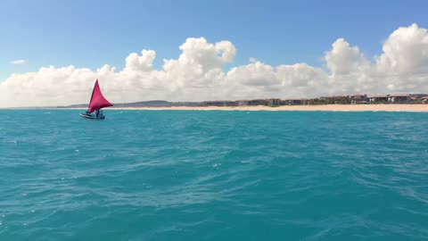 Boat Traditional Boat Sea Brazil Beach Nature