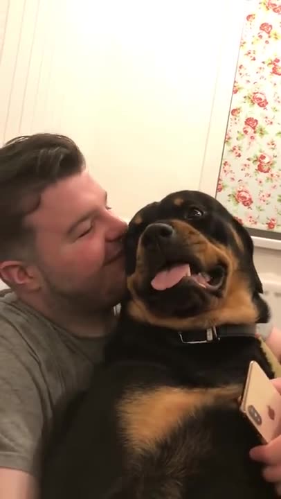 Rottweiler grumble/purr/rumble