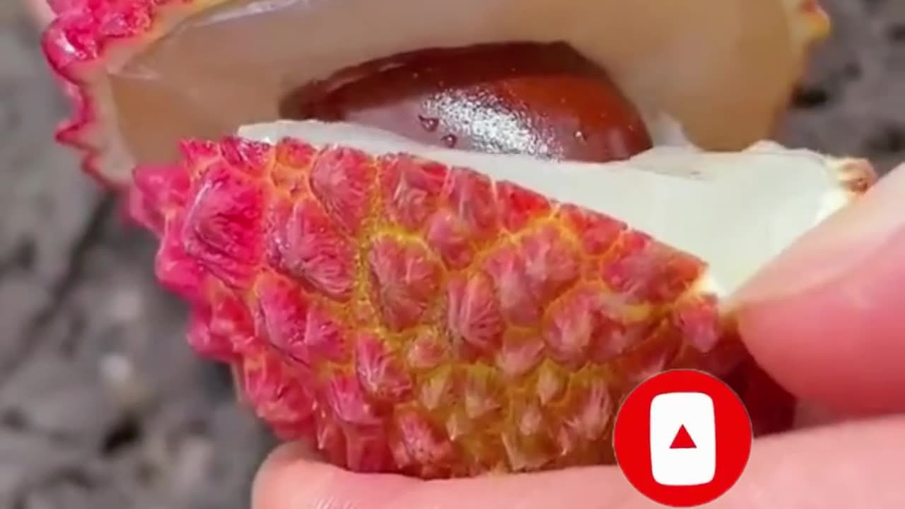 Fresh Natural Fruits Amazing Natural Fruit ASMR