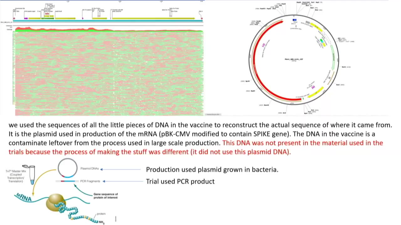 MUST WATCH: Cancer Genomics Expert Dr. Phillip Buckhaults Testifies to the DNA Contamination