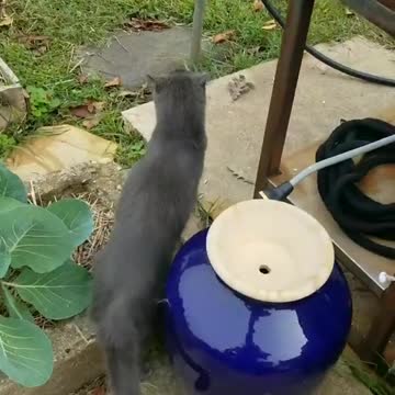 Keep Pests Out Of The Garden