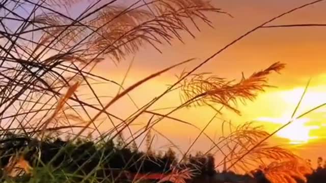 #sunsets #orangesky #aesthetic #thelake #change #autumn #wind #foryou #tiktok #beauty #scenery