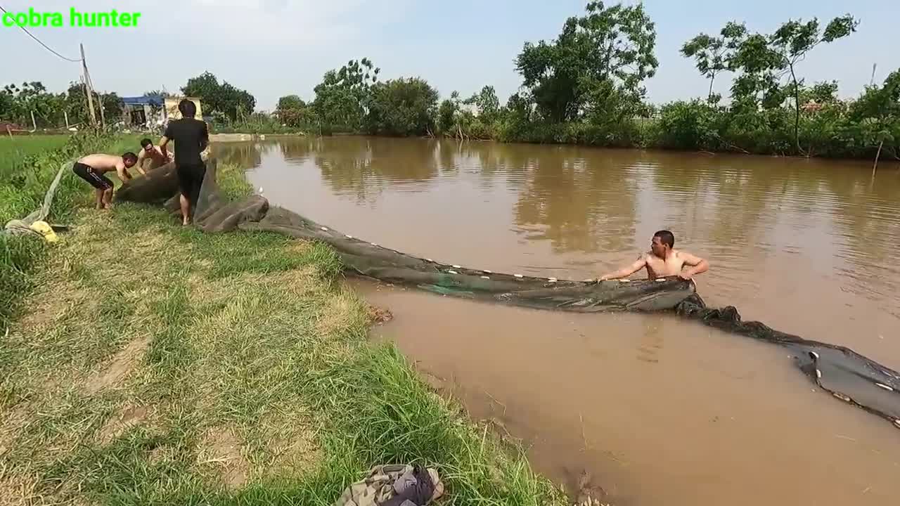 THE GIANT SNAKE, DANGEROUS MOMENT