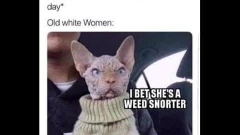 Random Memes 786