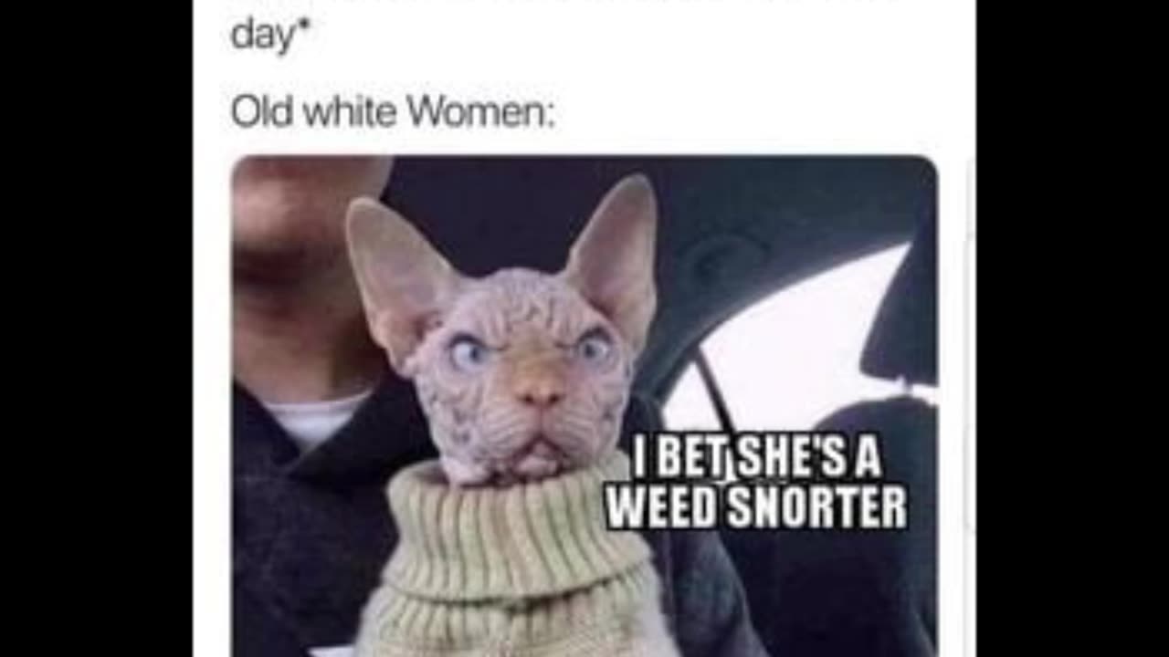 Random Memes 786