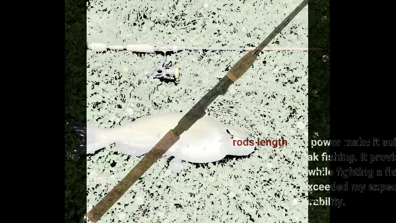 Buyer Reviews: Berkley Lightning Rod Spinning Fishing Rod
