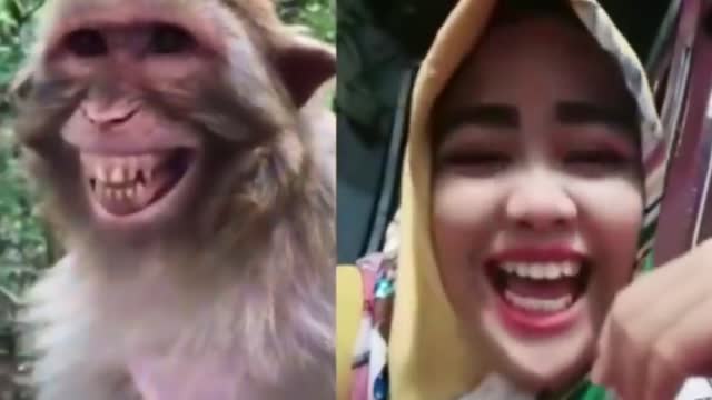 Animal funny video / funny video / #short / kutty story funny