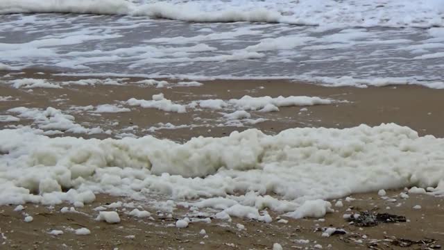 Sea Foam