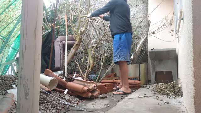 Cleaning The Garden