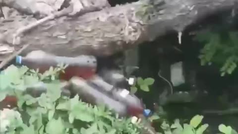 Walking Russian Trenches