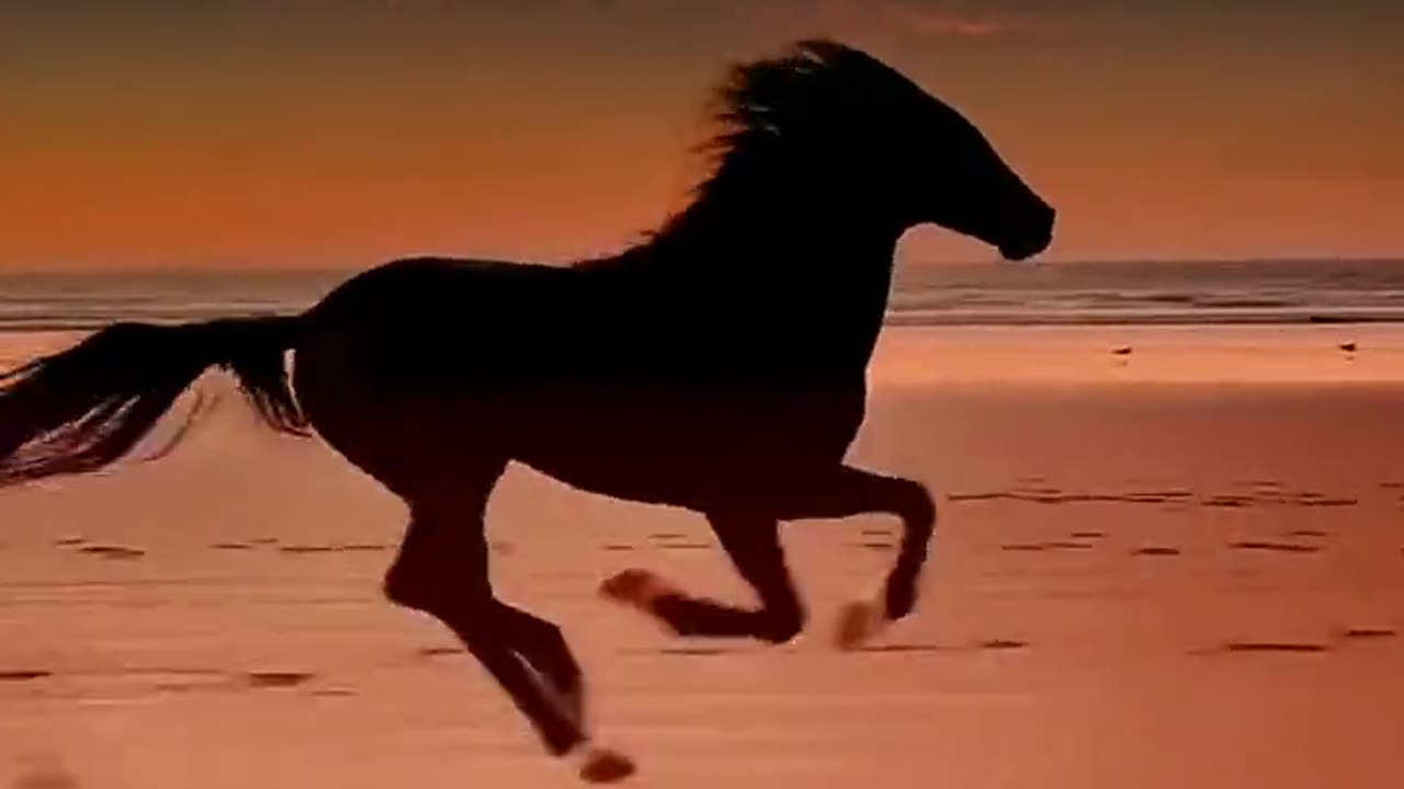 Freedom ازادی