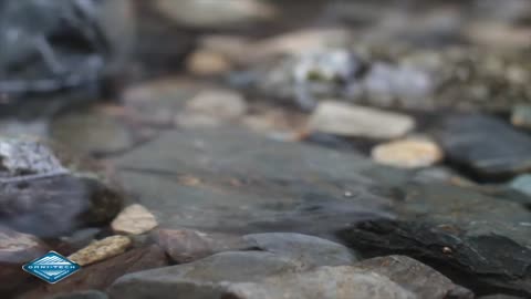Columbia Sportswear Omni-Tech™ Fabric Technology