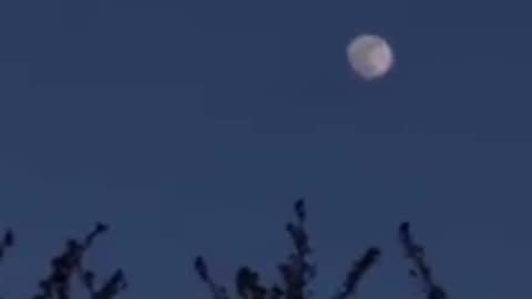 2 Moons In September