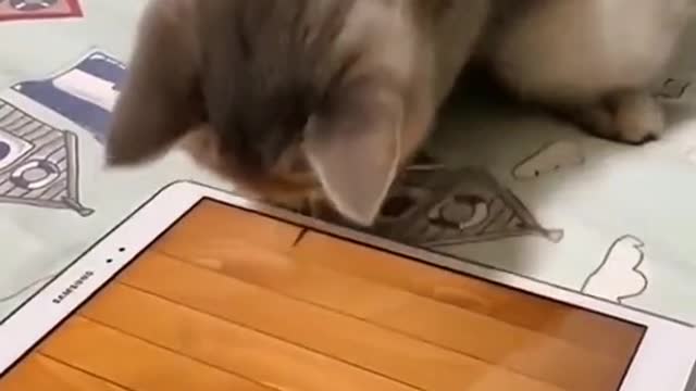 It only sees the owner 2