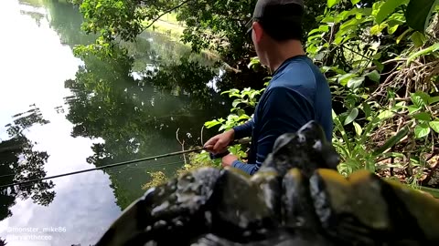 BEST GoPro on a Turtle! Swimming Underwater