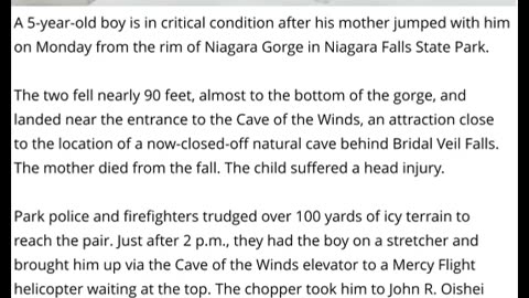 5 Year Old Boy Critical After Mother Jumped From Edge Of Niagara Gorge With Him